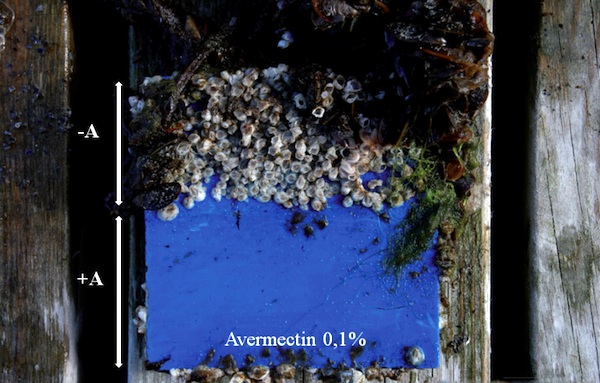 Image for article Low-emission anti-fouling research shows  progress